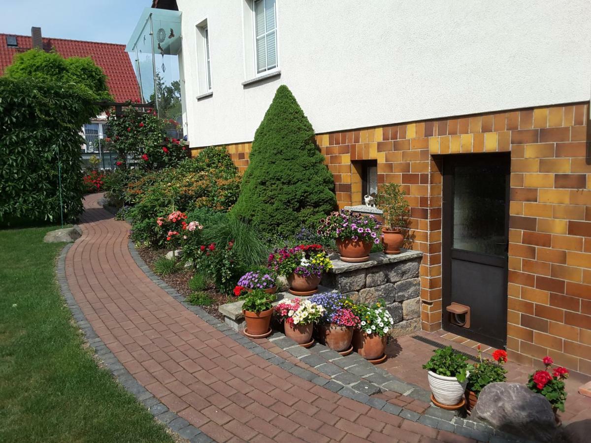 Ferienwohnung Schubert 萨嘎德 外观 照片